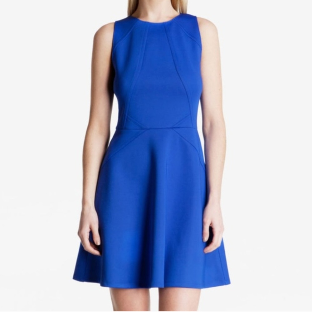 Ted Baker Mitton Skater Dress in Blue